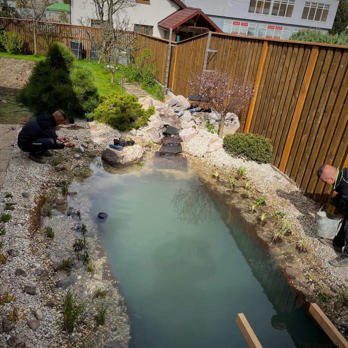 Final touches to the garden pond from Dream Garden - detailed modeling of the edges, planting of plants, arrangement of stones