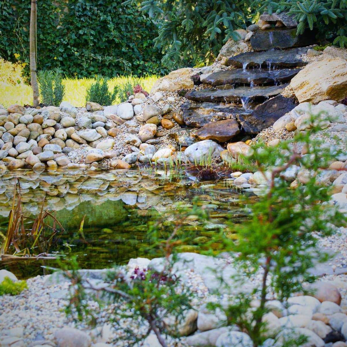 Realization of a garden pond by Dream Garden - professional garden design