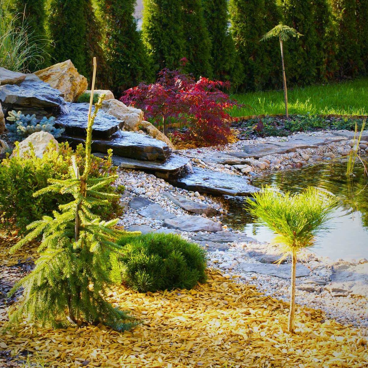 Garden pond with waterfall from Dream Garden
