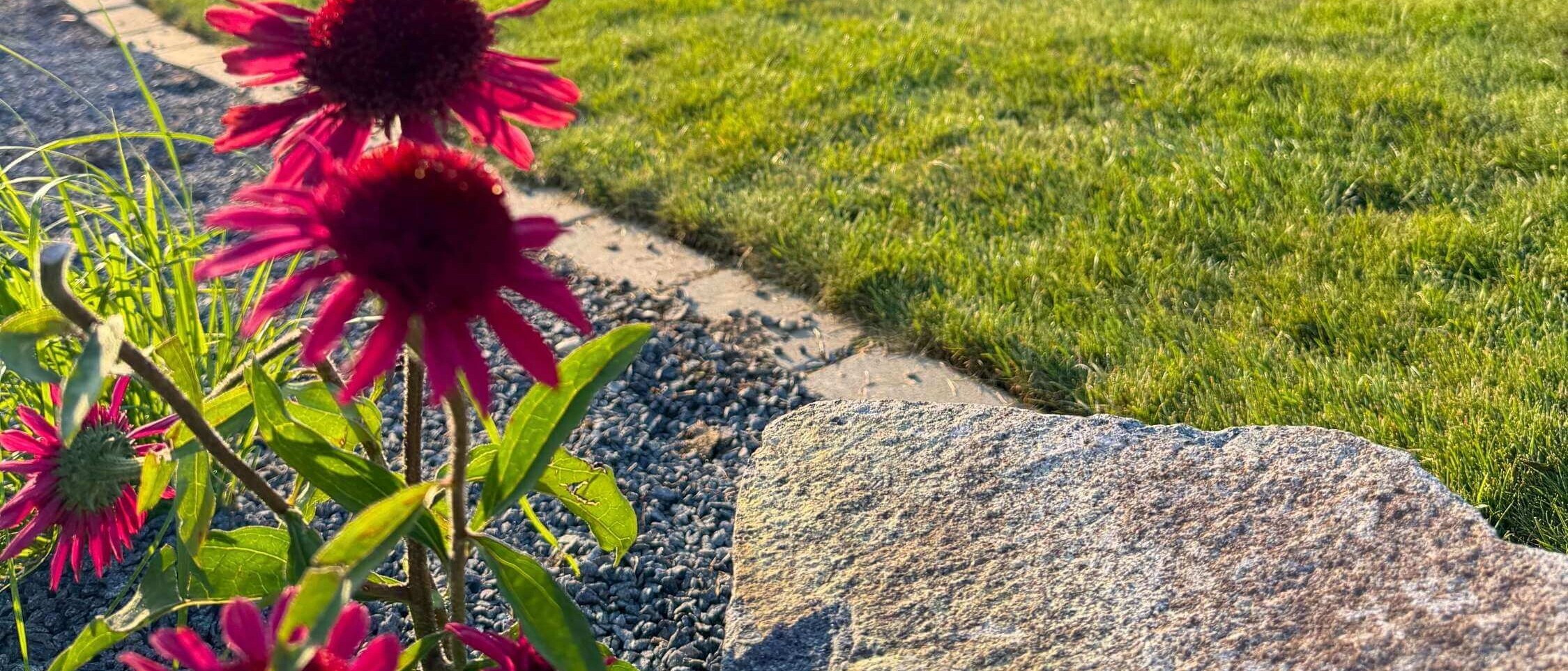 Dream Garden will take care of your garden without any worries