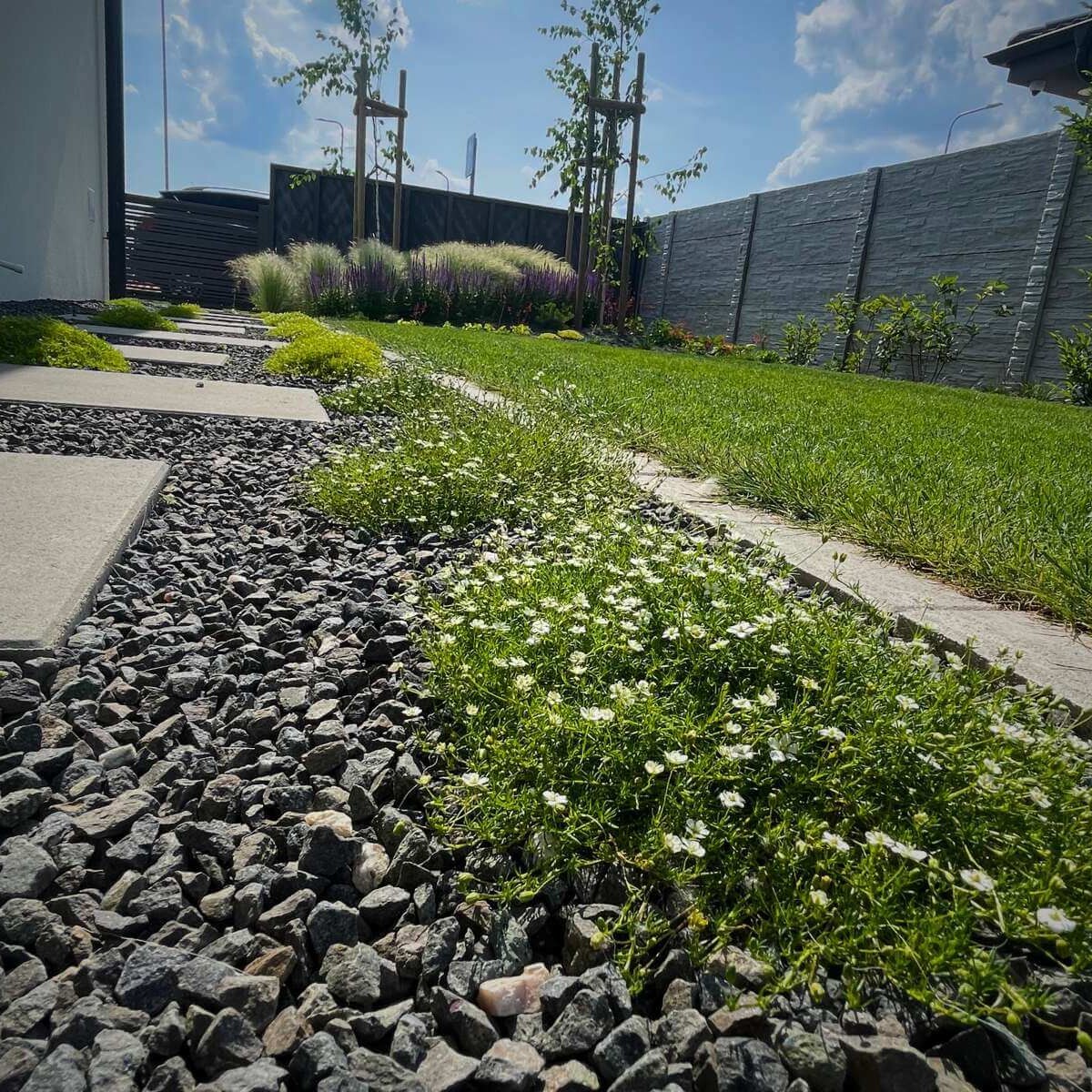 Modern garden from Dream Garden - a combination of a paved area made of paving stones and a dense green lawn