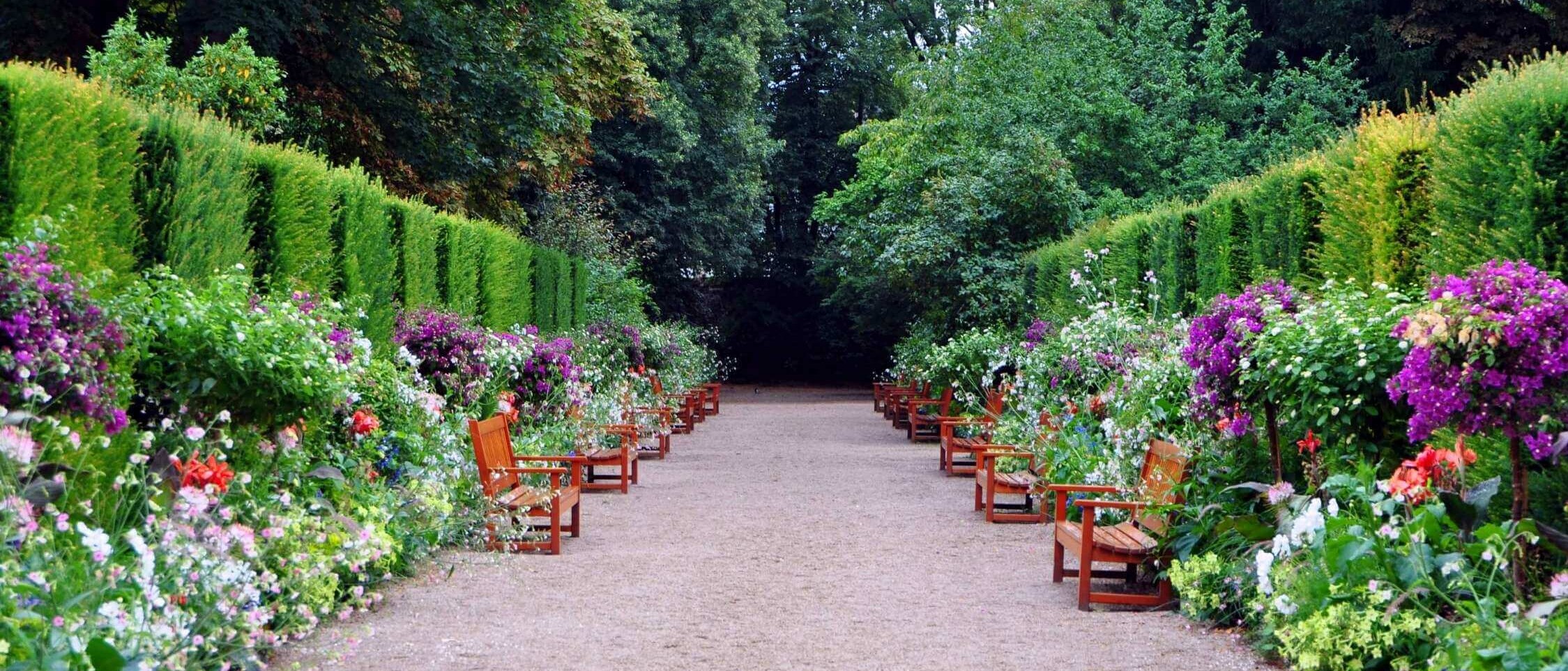 A dense hedge of ornamental shrubs as a natural garden border from Dream Garden