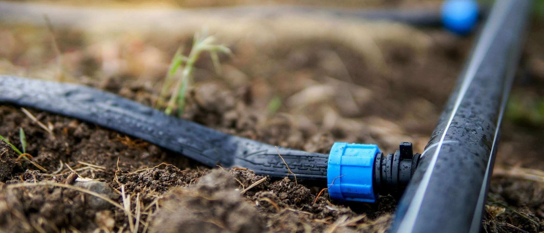 Design and project of the Hunter automatic irrigation system