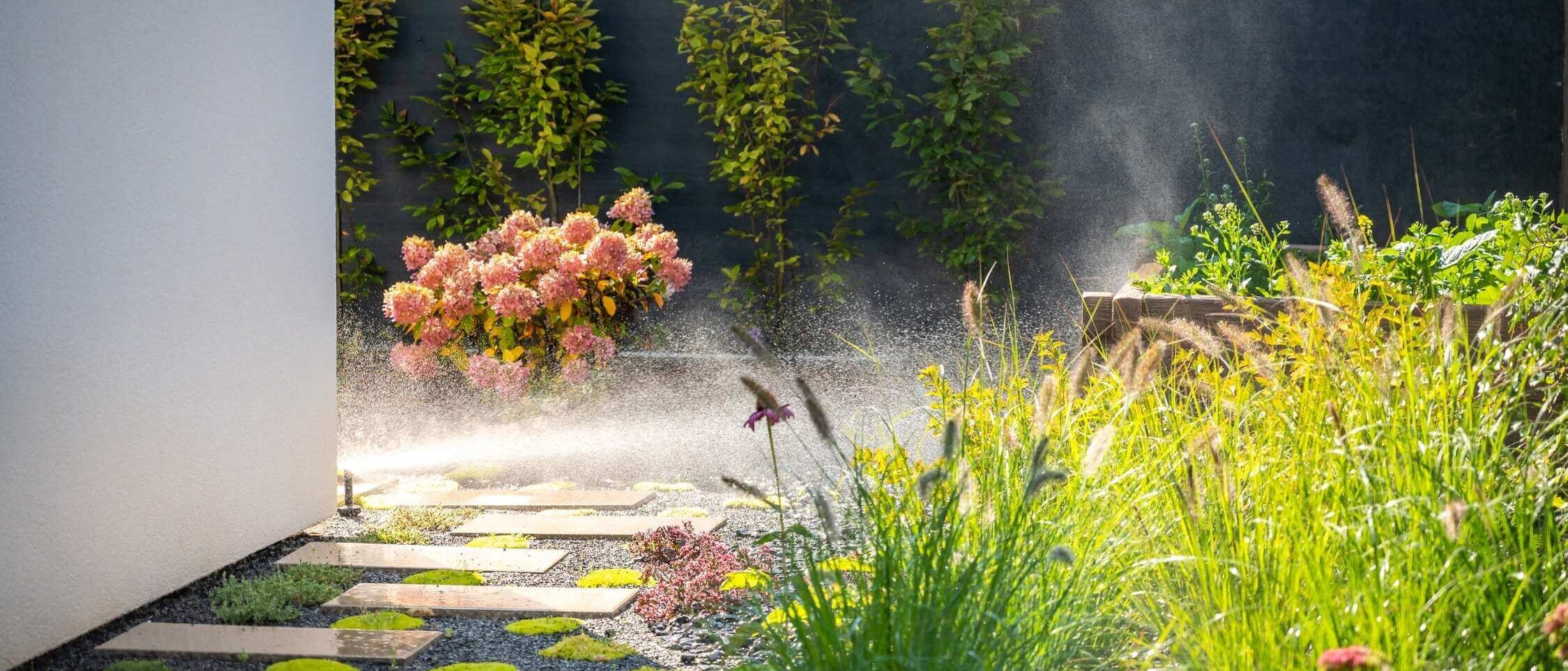 Dream Garden - design, realization and maintenance of gardens, green roofs and exteriors