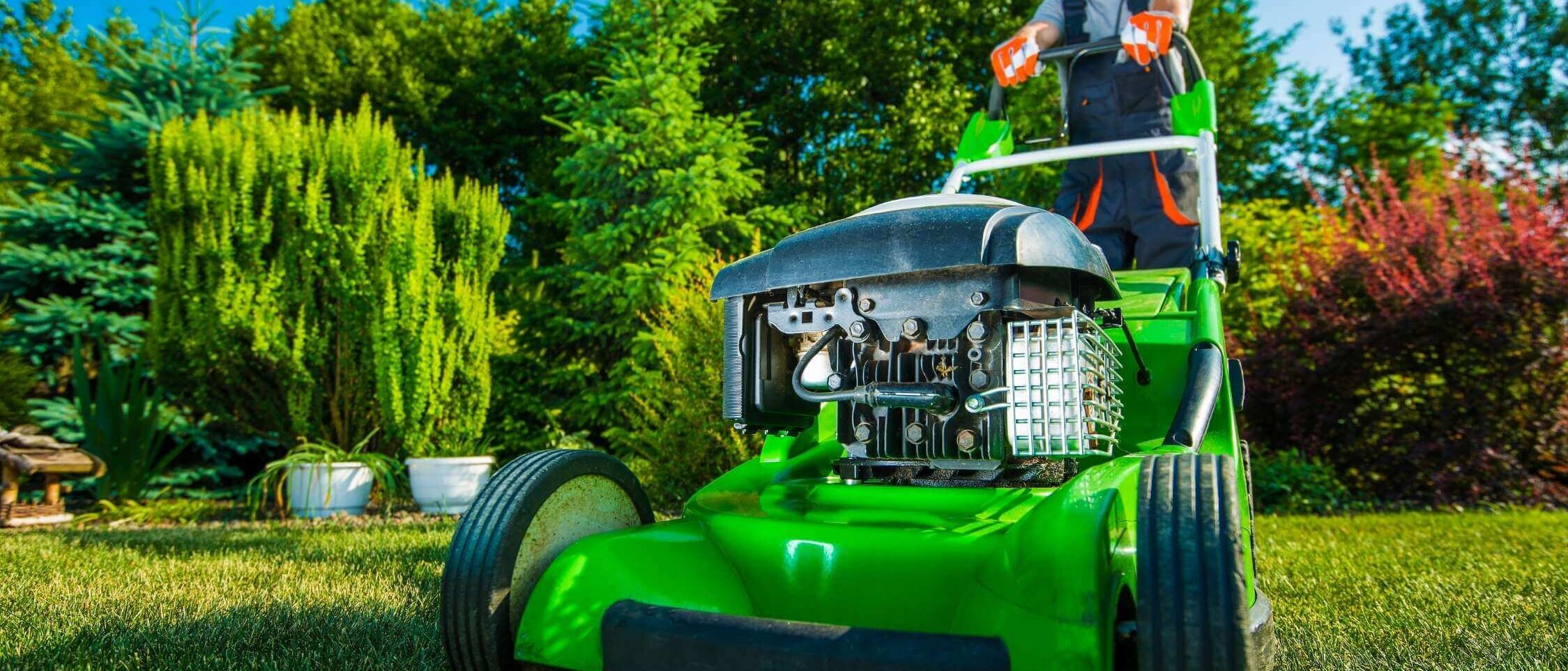 Lawn and garden maintenance – regular mowing, watering, fertilizing, and scarifying for a healthy and thick lawn