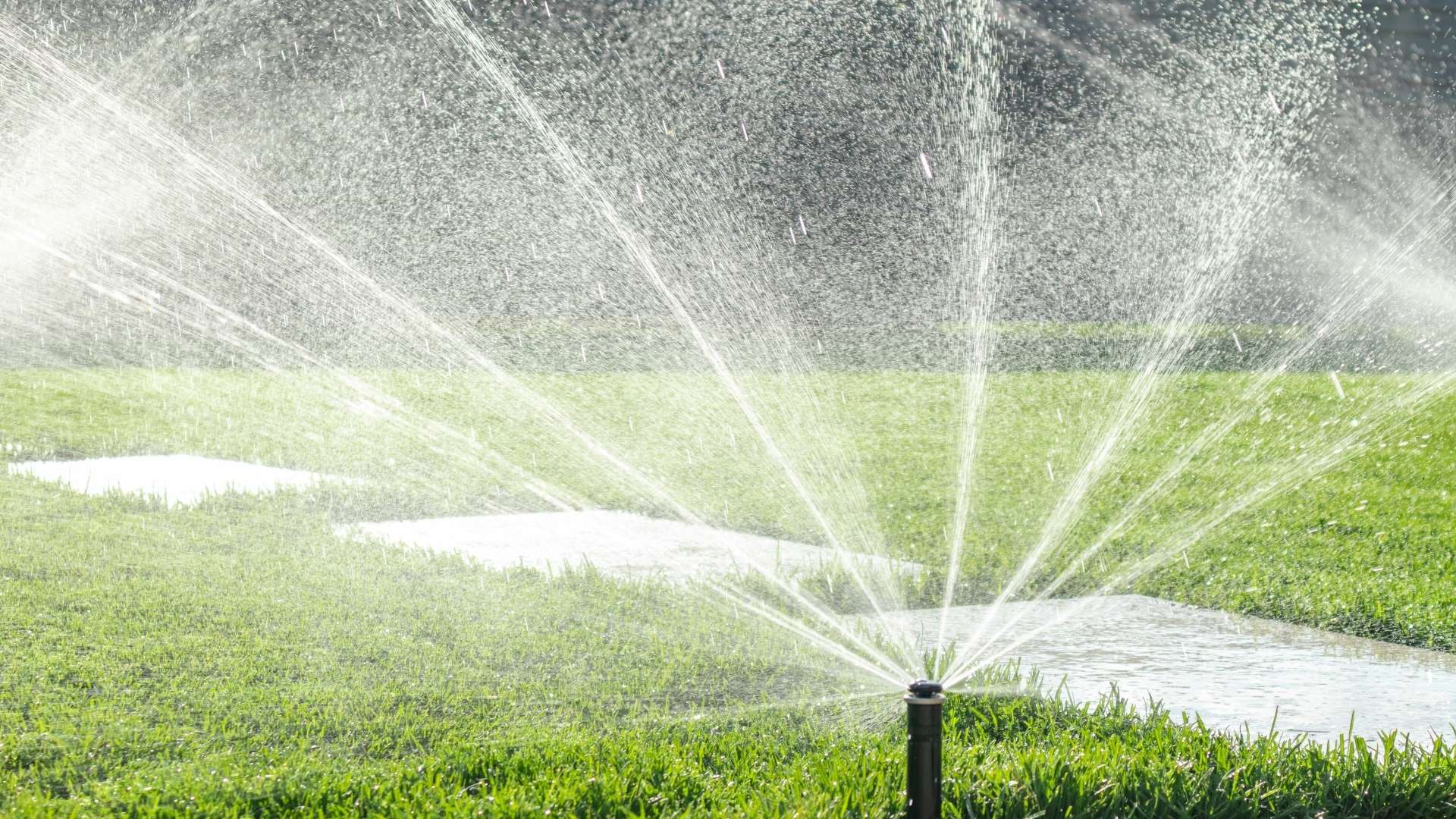 Hunter automatic irrigation system from Dream Garden.